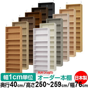 V ς I[_[ {I [ I I bN TCYI[_[ V ˂yzVς I[_[bN s40cm 250`259cm 76cmyω׏dE^t^CvzyI[_[{