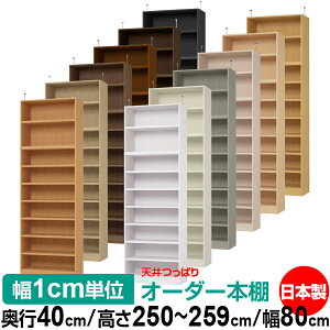 V ς I[_[ {I [ I I bN TCYI[_[ V ˂yzVς I[_[bN s40cm 250`259cm 80cmyω׏dE^t^CvzyI[_[{