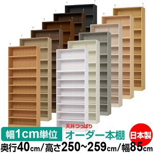 V ς I[_[ {I [ I I bN TCYI[_[ V ˂yzVς I[_[bN s40cm 250`259cm 85cmyω׏dE^t^CvzyI[_[{