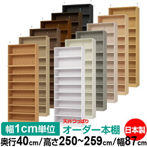 V ς I[_[ {I [ I I bN TCYI[_[ V ˂yzVς I[_[bN s40cm 250`259cm 87cmyω׏dE^t^CvzyI[_[{