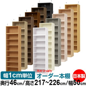 V ς I[_[ {I [ I I bN TCYI[_[ I V ˂ yzVς I[_[bN s46cm 217`226cm 50cmyW^CvzyI[_[{I 