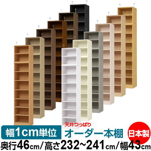 V ς I[_[ {I [ I I bN TCYI[_[ I V ˂ yzVς I[_[bN s46cm 232`241cm 43cmyW^CvzyI[_[{I 