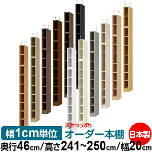 V ς I[_[ {I [ I I bN TCYI[_[ I V ˂ yzVς I[_[bN s46cm 241.1`250.1cm 20cmyW^CvzyI[_[{