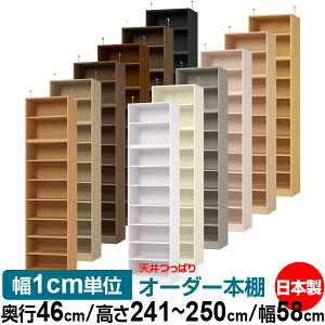 V ς I[_[ {I [ I I bN TCYI[_[ I V ˂ yzVς I[_[bN s46cm 241.1`250.1cm 58cmyW^CvzyI[_[{