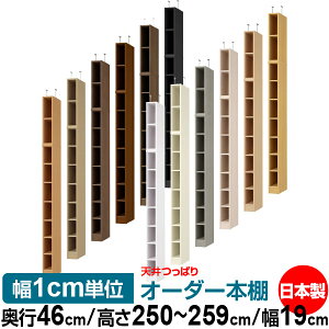 V ς I[_[ {I [ I I bN TCYI[_[ I V ˂ yzVς I[_[bN s46cm 250`259cm 19cmyW^CvzyI[_[{I 