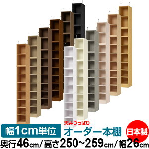 V ς I[_[ {I [ I I bN TCYI[_[ I V ˂ yzVς I[_[bN s46cm 250`259cm 26cmyW^CvzyI[_[{I 