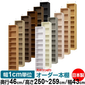 V ς I[_[ {I [ I I bN TCYI[_[ I V ˂ yzVς I[_[bN s46cm 250`259cm 43cmyW^CvzyI[_[{I 