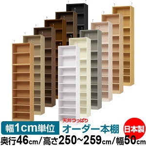 V ς I[_[ {I [ I I bN TCYI[_[ I V ˂ yzVς I[_[bN s46cm 250`259cm 50cmyW^CvzyI[_[{I 