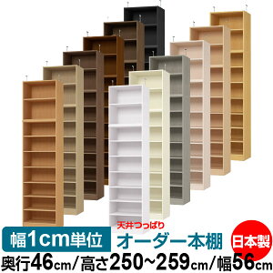 V ς I[_[ {I [ I I bN TCYI[_[ I V ˂ yzVς I[_[bN s46cm 250`259cm 56cmyW^CvzyI[_[{I 