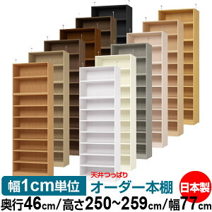 V ς I[_[ {I [ I I bN TCYI[_[ V ˂yzVς I[_[bN s46cm 250`259cm 77cmyω׏dE^t^CvzyI[_[{