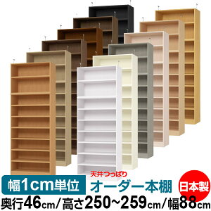 V ς I[_[ {I [ I I bN TCYI[_[ V ˂yzVς I[_[bN s46cm 250`259cm 88cmyω׏dE^t^CvzyI[_[{