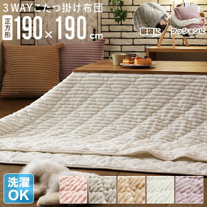 [ő10%OFFN[|] zc ` ȃXy[X  g @ 􂦂 |zc 190×190cm ~  ӂƂ R^czc Q NbV  킢 n sN