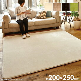 マインド 苦悩 評価する ホット カーペット 白 Mycascade Tohoku Jp