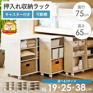 [ő10%OFFN[|] _LO܁^ LX^[t [bN s75.2cm 65cm 3TCY (19/25/38cm) N[[bg[ S N[[bg [ LX^[t [ L