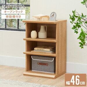 [ő10%OFFN[|] I[vbN EbhbN 3i VFt bN 45cm k  X fBXvCbN TCh{[h [ I ؐ [^[ [ z ؐ e ؖڒ 