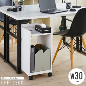 fXNS LX^[t TChS TChbN 30cm  fXNS t@CS ItBXR [S S ItBXS zCg [bN bN I ȃXy[