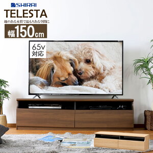 [ő10%OFFN[|] er [{[h 150 65C` e ^ 65^ eBX^3 TV [^Cv er{[h 65V 150Z` o [ [bN k  tv tv{[h tvb