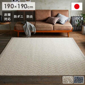 _10/1̓|Cg10{^ O O}bg E[ k  190×190cm 2 ` h h_j g[Ή ~ߕt E[100 _炩 炳 Yi _ i S lCr[ 