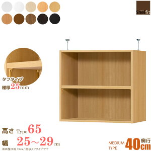 [ő10%OFFN[|] {  I[_[Ch ˂I Type65 (I ^t^Cv^s40cm ~fBAfB[v^Cv^25`29cmI[_[)u ς I[_[ bN {I I 