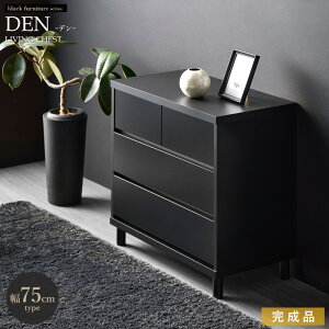 _Vi^[XIWiJ[] `FXg  [`FXg i rt ؐ rO`FXg 75cm 3i Lrlbg o ߗ [ N[[bg ^X e [`FXg 