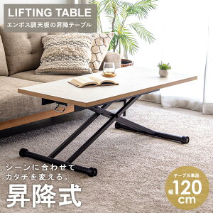 _11/1̓|Cg10{^ ~e[u  ~e[u KX 120 LX^[t s60cm IV { zCg  e[u ~ Z^[e[u rOe[u 傫 