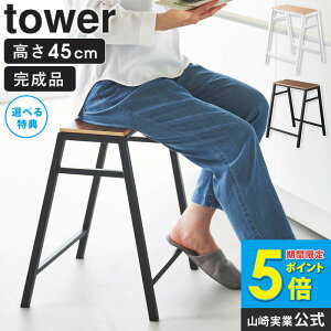 _Tt^ Xc[ ^[ H45 tower R Xc[ k  TChe[u X`[ ؐ | CX ֎q `FA X^bLO |֎q 45cm K[fjOG ԑ v