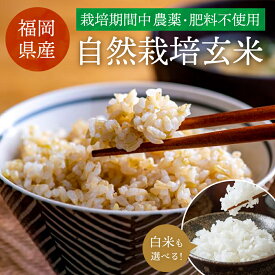 【期間限定 セール】 【令和7年産】 自然栽培 特別栽培 玄米 白米 福岡県産 夢つくし 元気つくし にこまる 栽培期間中 農薬不使用 肥料不使用 国産 農家直送 送料無料 5kg 10kg 20kg 分づき 分づき米 3分づき 5分づき 7分づき 精米無料 お米 米 久保農園