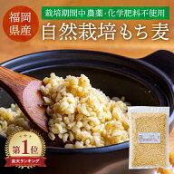 【楽天スーパーSALE 対象商品ポイント10倍 6/4~】 無農薬栽培 もち麦 久保農園 福岡県産 九州産 国産 も…