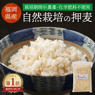 【楽天スーパーSALE 対象商品ポイント10倍 6/4~】 無農薬栽培 押麦 500g 2kg 4kg 8kg 久保農園 九州産 国…