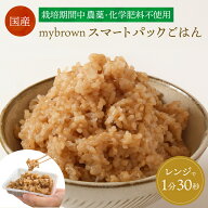 【訳あり大特価】発芽玄米パックごはん 125g×4食18食27食 農薬・化学肥料不使用 mybrown マイブラウン …