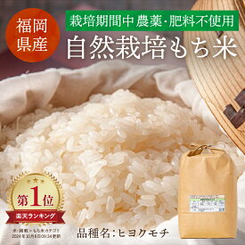 【令和7年産】無農薬栽培 もち米 2kg 5kg 10kg 20kg 久保農園 福岡県産 九州産 国産 もち米 餅米 ヒヨクモチ モチ米 ひよくもち 無農薬米 無農薬 無肥料 餅 もち白米