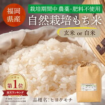楽天市場】もち米 無農薬の通販
