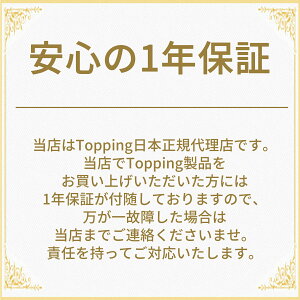 Topping gbsO DX5II