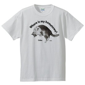 ご当地 模様 猫 Tシャツ【千葉】 おもしろ 男女兼用 メンズ レディース 半袖 ホワイト S M L XL 都道府県 県民