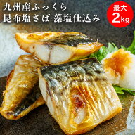 九州産 ふっくら 昆布塩さば 2kg (お試しサイズ1kg) 選べる大容量 藻塩仕込み 鯖 サバ 冷凍さば 昆布エキ…