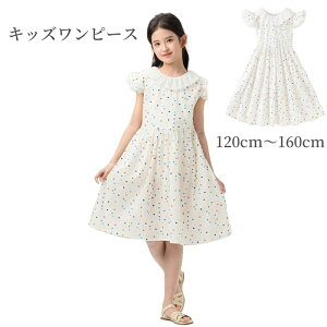 LbYs[X ̎q  G q AC xr[ t  hbg m[X[u t m[J[ N[ EhlbN Os   ߑ p[eB[ 