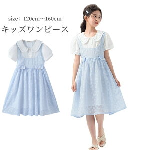 LbYs[X ̎q  G q AC xr[ t  H ۋ [XhbLO d˒ C[h s[^[pJ[ Os   ߑ p[eB[ 