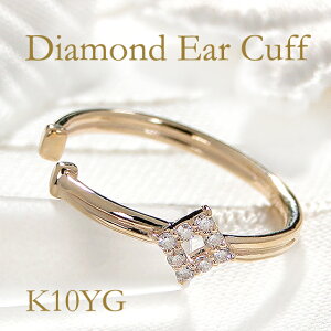 yЎpzK10YG _ChC[JtyzS[hCJt S[hC[Jt 10C[Jt fB[X WG[ Е̂ 1   ЂƂ lC  _C