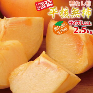 ypz10{` j` LTCYȏ 2.5kg R`Y 10{`11{ 