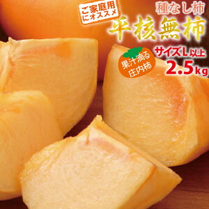 yƒpz10{` j` LTCYȏ 2.5kg R`Y 10{`11{