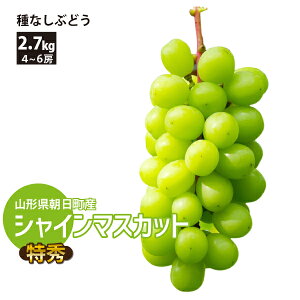 yGz10{` VC}XJbg 2.7kg 4`6[ R`Y 10{`10{ 