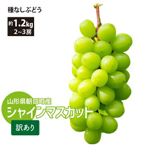 y󂠂z10{` VC}XJbg 1.2kg 2`3[ R`Y 10{`11{ 