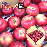 【訳あり】10月上旬～ 紅玉 山形県産 (茶箱) 10kg【10月上旬～10月下旬 順次発送】