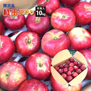 【訳あり】10月上旬〜 紅玉 山形県産 (茶箱) 10kg【10月上旬〜10月下旬 順次発送】