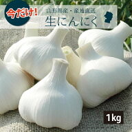 【6月上旬～発送】幻の生にんにく 山形県産 サイズおまかせ 1kg 土付き