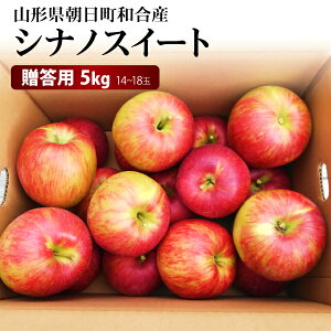 yGiz10{` VimXC[g 5kg 14`18 R`aY 10{`10{ 