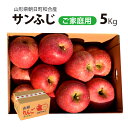 【訳あり】 サンふじ 和合りんご スマートフレッシュ 5kg 山形県朝日町和合産