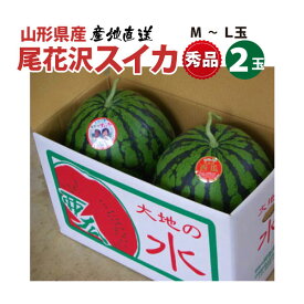 【7月下旬～】尾花沢スイカ 山形県 秀品 M〜Lサイズ 2玉 10kg以上 【7月下旬～順次発送】