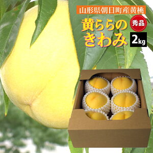 �y9�����{�`���������z�����̂���� �R�`�� �������Y �G�i 2kg
