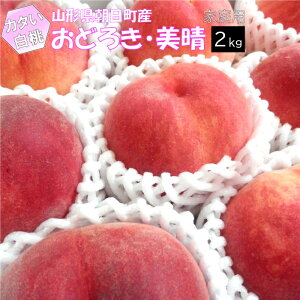 �y�󂠂�z�y8�����{�`���������z���� �d���� ���ǂ낫 ���� �R�`�� �������Y 2kg